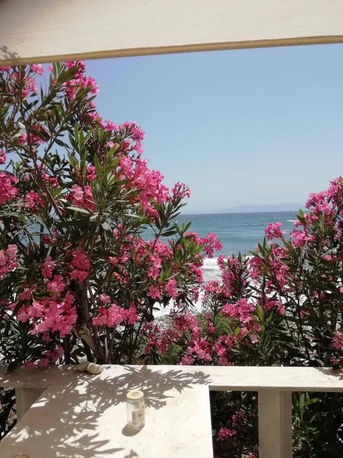 Вилла "Sea Front" Rose'S House Kardhiani Экстерьер фото