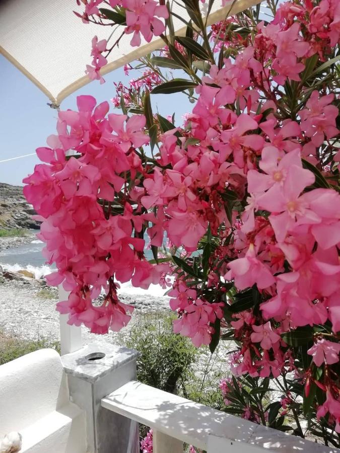 Вилла "Sea Front" Rose'S House Kardhiani Экстерьер фото