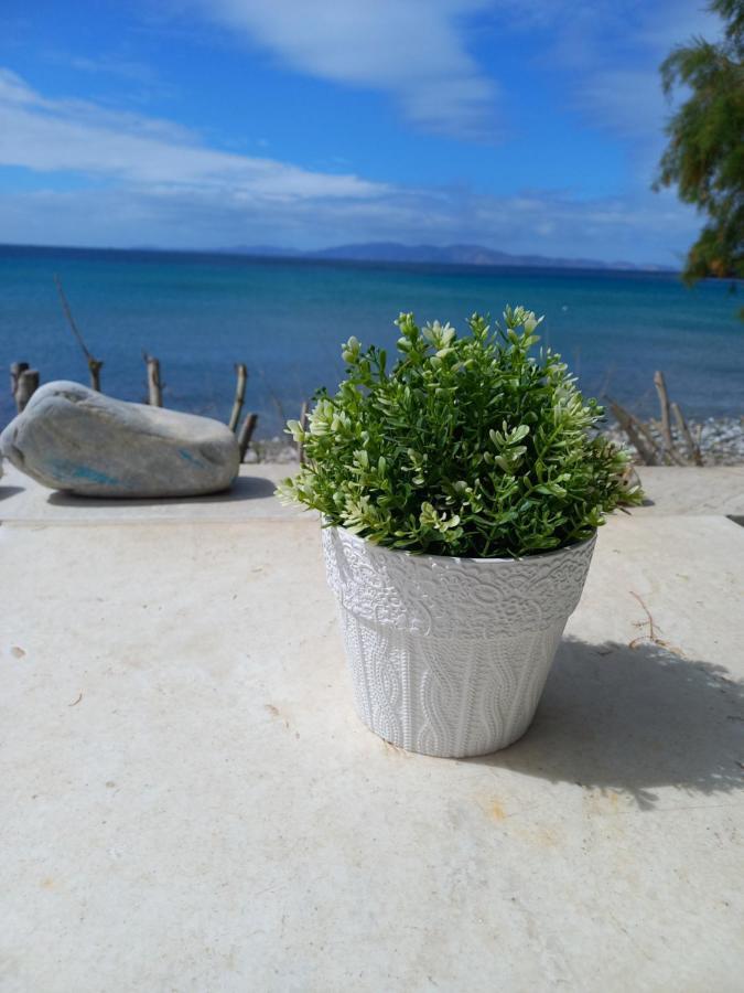 Вилла "Sea Front" Rose'S House Kardhiani Экстерьер фото